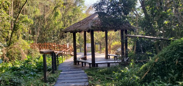 2025-01-30迷糊步道2704458