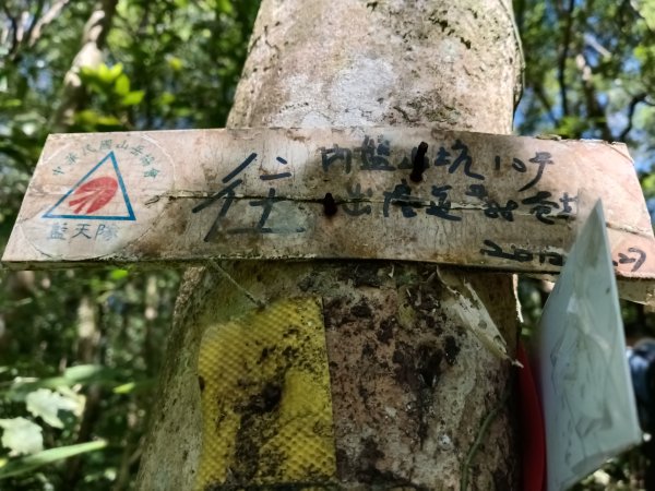 雙溪區內盤山坑古道+石硿子越嶺古道+盤山坑古道+過火坪古道O型2914376