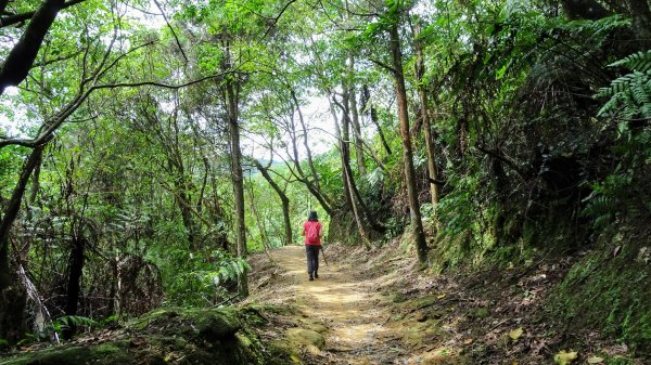 三貂嶺,中坑,柴寮古道1838276