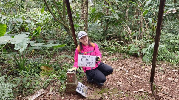 (姨婆趴趴走)第四十一集:桃園大溪草嶺山、石厝坑山、白石山環狀縱走2466622