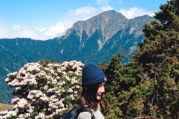 花季限定的景色3063166