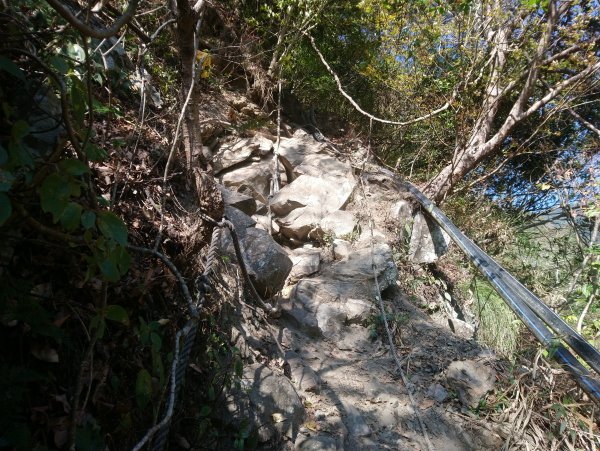 屋我尾山(麗陽線)821161