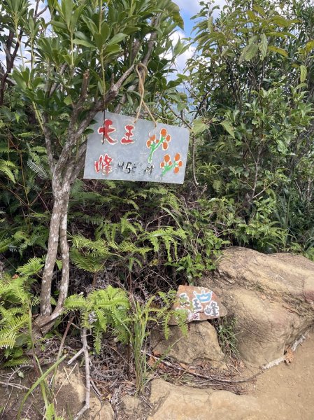 【二格山系】皇帝殿稜線2914134