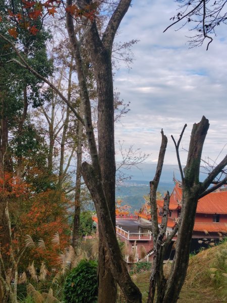 鳳鳴古道 鳳鳴山 南隘勇（南長城）古道 三湖山 八達嶺（龍骨）古道 綠色古道 延平古道2975258