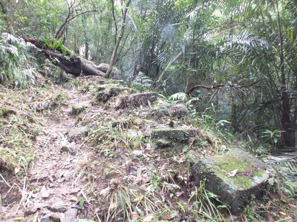 百二階古道+苕谷瀑布+逸仙山+泰和樓2734442