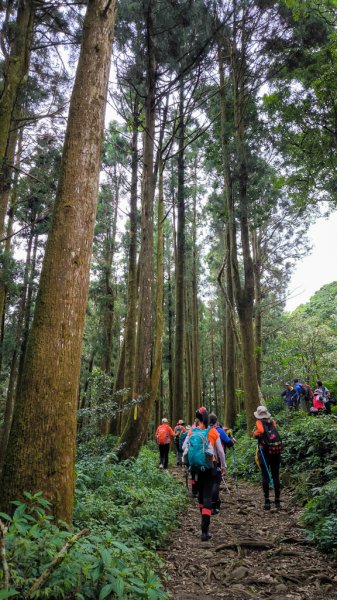 2026-07-26 頂湖大凍山、霹靂山、樂野山3091470