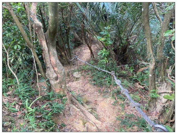 金龍湖、鷹石尖、老鷲尖、內溝山 O型一圈2966624