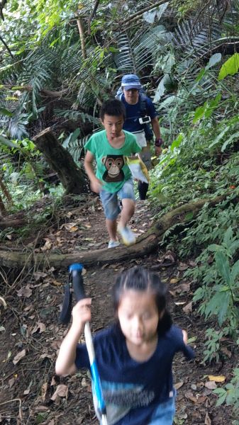 新溪洲山之樂400359