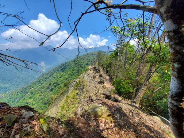 東卯山東南稜小O路線1668571