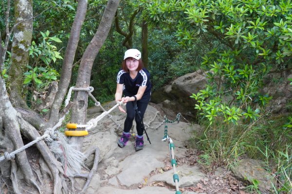 五寮尖登山步道954239