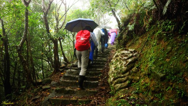 淡蘭古道深度旅遊~尋找古道上珍貴歷史遺跡754474