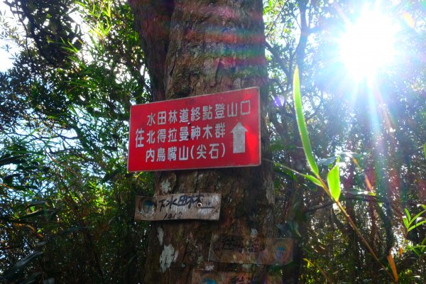 光影森林-那結山縱走貴妃山773707