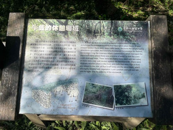 台北 陽明山 絹絲瀑布-擎天崗2722192