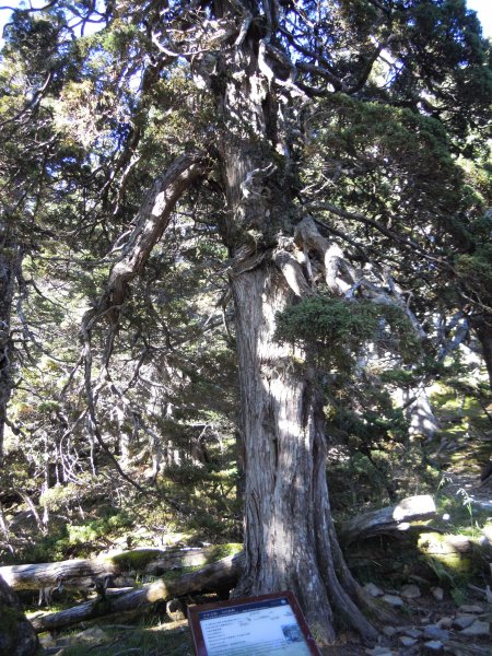 雪山主峰&雪山東峰201109101957136