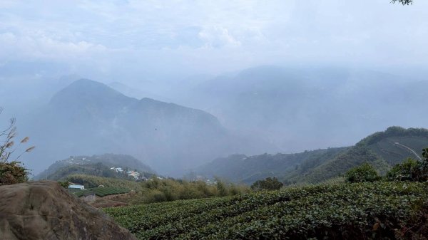 雲嘉五連峰 (大尖山、二尖山、馬鞍山、梨子腳山、太平山)2991063