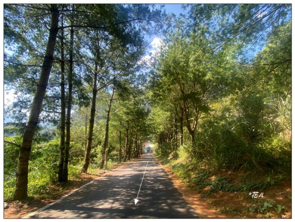 東松鶴山～八仙山 (台中 和平)2940415