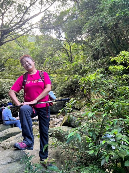 草嶺古道之芒花季2362436