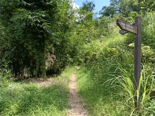 汐止區姜子寮田園步道+旗尾崙+姜子寮絕壁、瀑布O型2822248