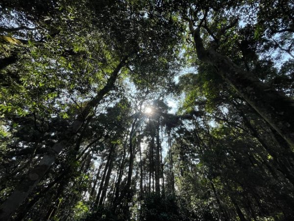 鵝公髻山X山上人家2729196
