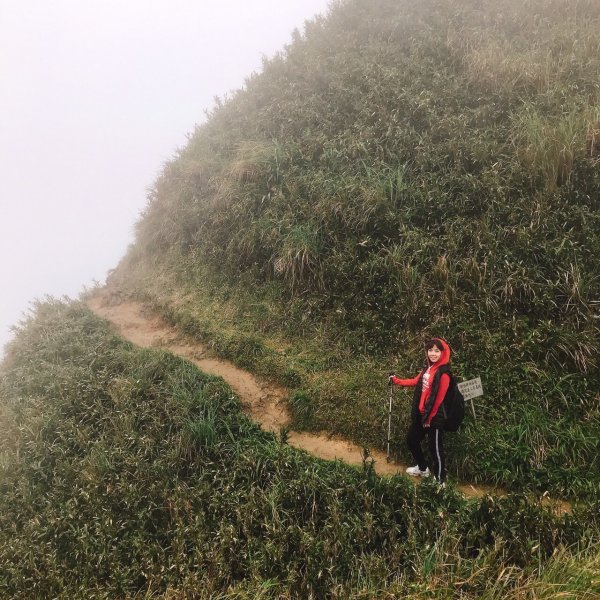 療癒系抹茶山，小百岳三角崙山，五峰旗瀑布1029837