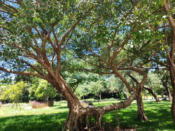 霄裡好風光 運動樂悠遊2827700