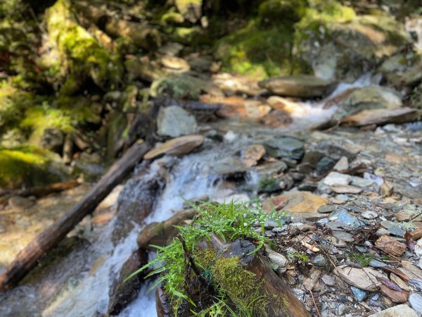 向陽日出，嘉明湖光2866329