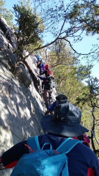 鳶嘴稍來賞楓行663223