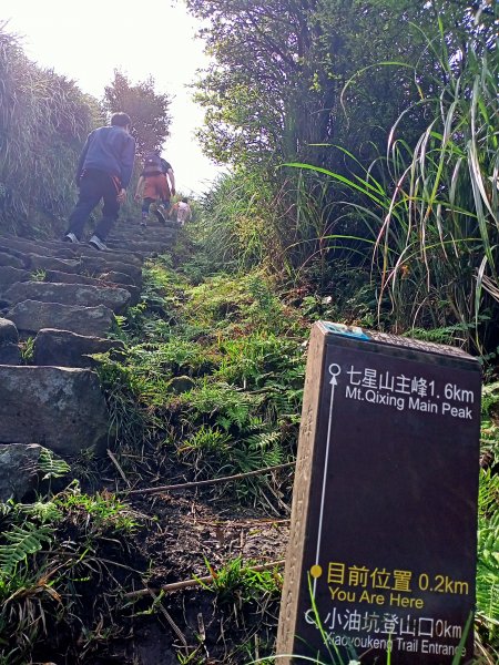 【臺北大縱走 3】小油坑→七星山主峰、東峰→冷水坑→冷擎步道→菁山吊橋→雞心崙→折返至冷水坑2093670