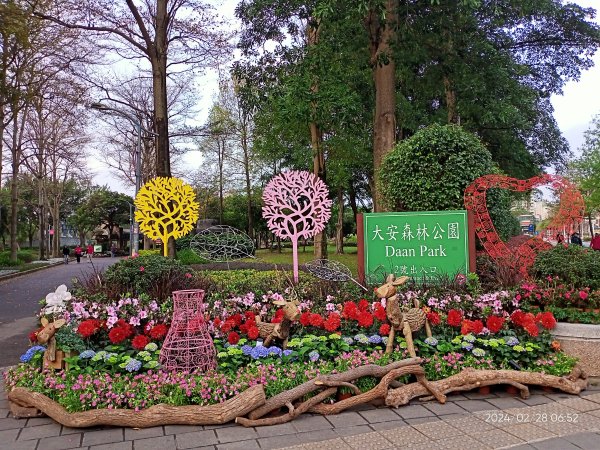 大安森林公園、桃園楊梅秀才登山步道走春趣2441989