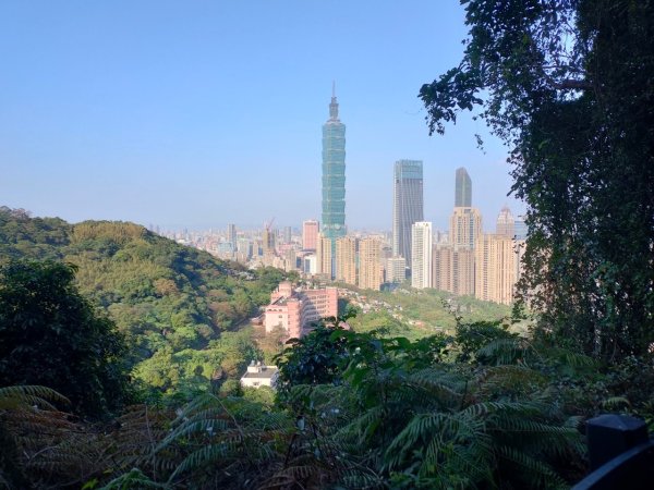 ［象山~深坑8連峰］  （象山～南港山南峰～拇指山～倒照湖山～大坑山～西峰~三腳木山~西峰）2403149