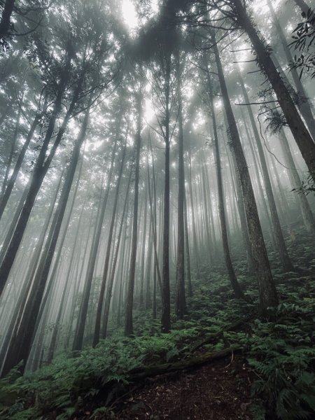 油羅山 2025 09/132890049