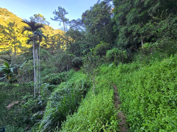 石牛山（小百岳）2909974