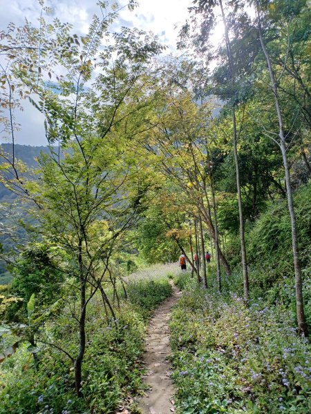 【台南白河】雞籠山+九龍山+大凍山O繞縱走2797135