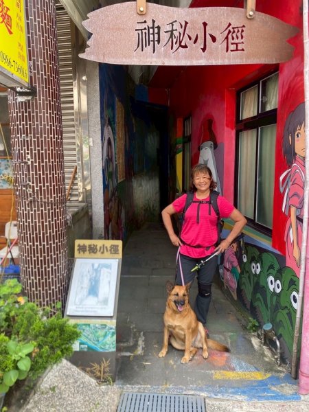 苗栗縣獅潭鄉鳴凰古道O型縱走2803658