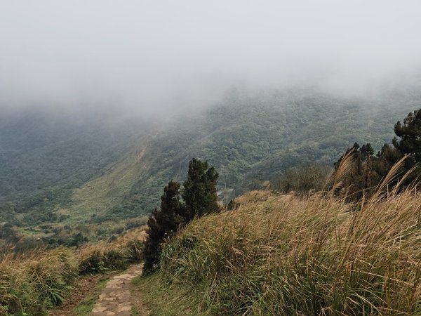 2025臺北大縱走第三段：小油坑至風櫃口2973473