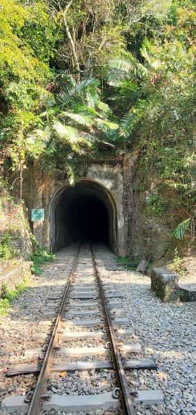 2022-03-05獨立山國家步道、阿拔泉山、觀音石山1631262