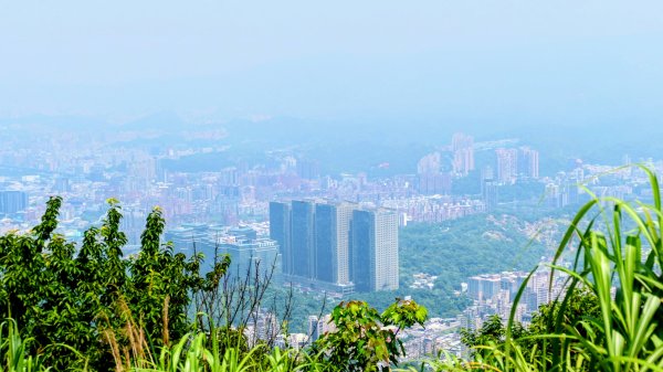 黑端建斑蝶（斐豹蛺蝶）3068593