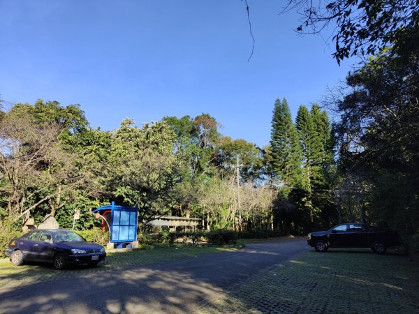 2024.11.29 騎龍山+騎龍古道2990391