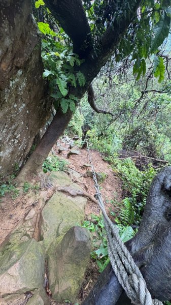 大雨後🙄2845410