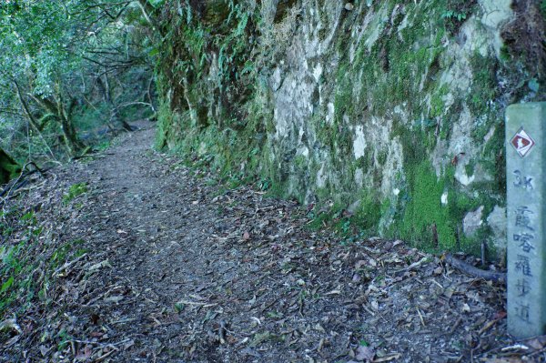 新竹 五峰 西高橋山、霞喀羅大山2959331