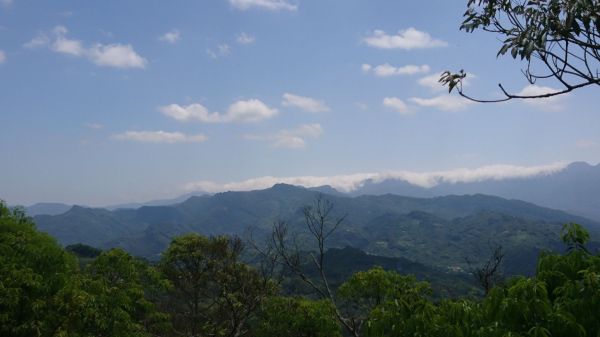 打鐵寮古道-石厝坑山-白石山306074