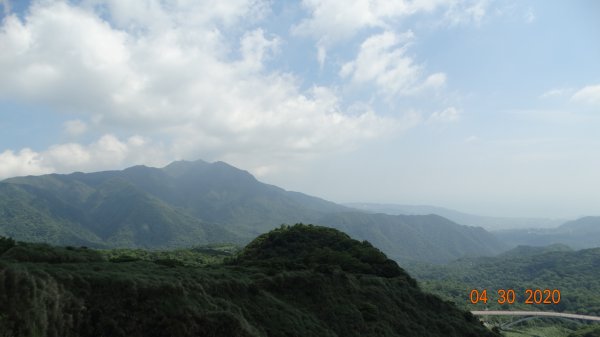 陽明山賞蝶趣940417