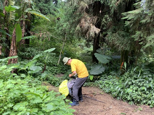 20250614南投南鳳凰山2813247