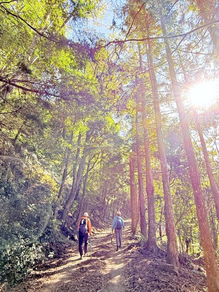 南投仁愛.埔里基石巡禮--眉溪山.東關刀山(北北峰.北峰）.墘溪山.石盤坑山    2024.12669689
