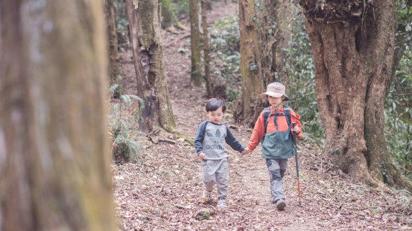 孩子們的一日獵人之旅：馬奴多斯獵人古道、望美山、瞭望台