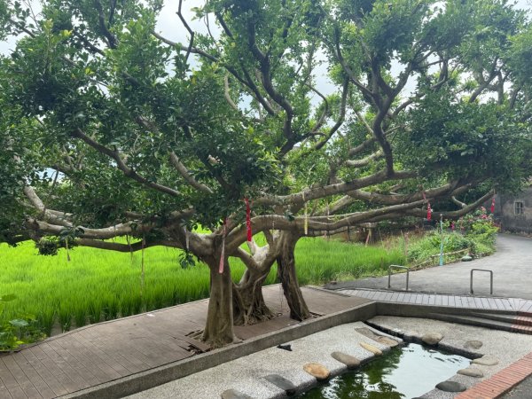 霄裡好好玩2804931