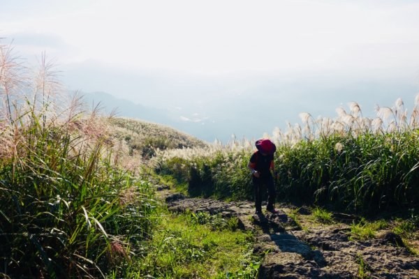 秋陽、金芒、基隆山464496