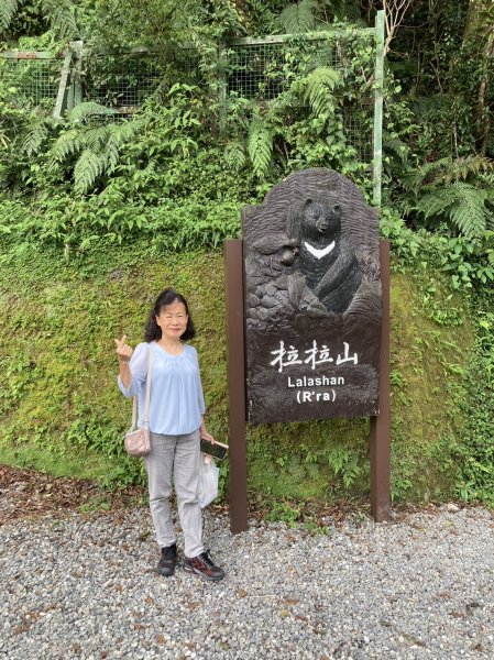 拉拉山國家森林遊樂區、神木群步道【桃園-臺灣百大必訪步道、走路趣尋寶】2292656