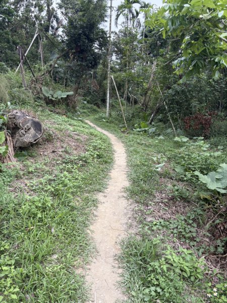 20251024蘭潭後山步道、紅毛埤山、山子頂山2924059