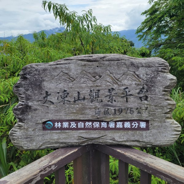 阿里山頂湖步道＞大凍山＞頂湖自然生態區2505517